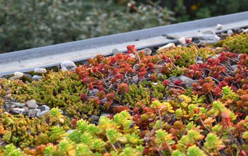the cost of Waringfield green roof installation