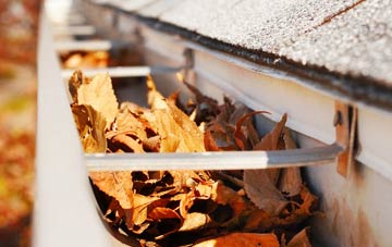Waringfield gutter cleaning companies