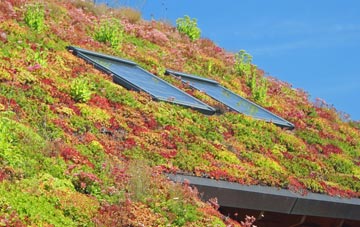 Waringfield living roof systems