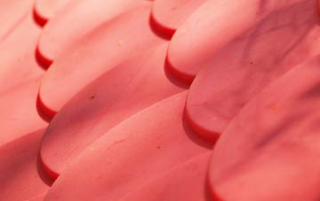 Waringfield plastic roof costs