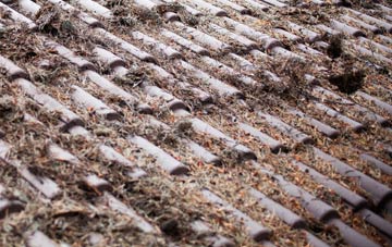 Waringfield roof cleaning companies