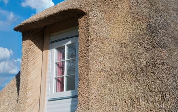 Waringfield thatch roof disadvantages
